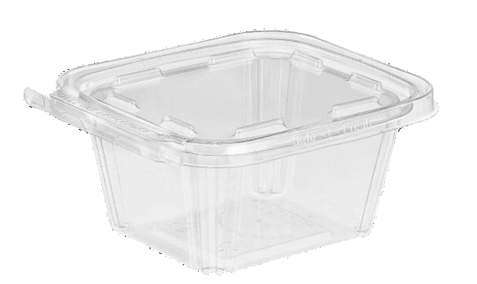 TS16 - Safe T Fresh 16oz Contenedor Rectangular